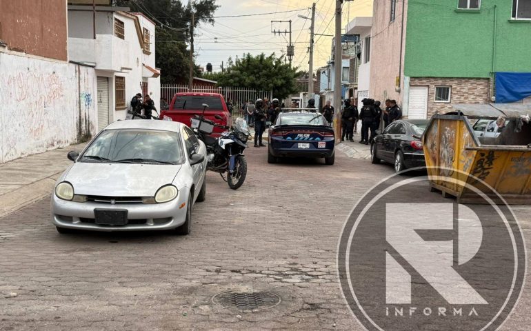 LEVANTÓN EN LAS VIÑAS