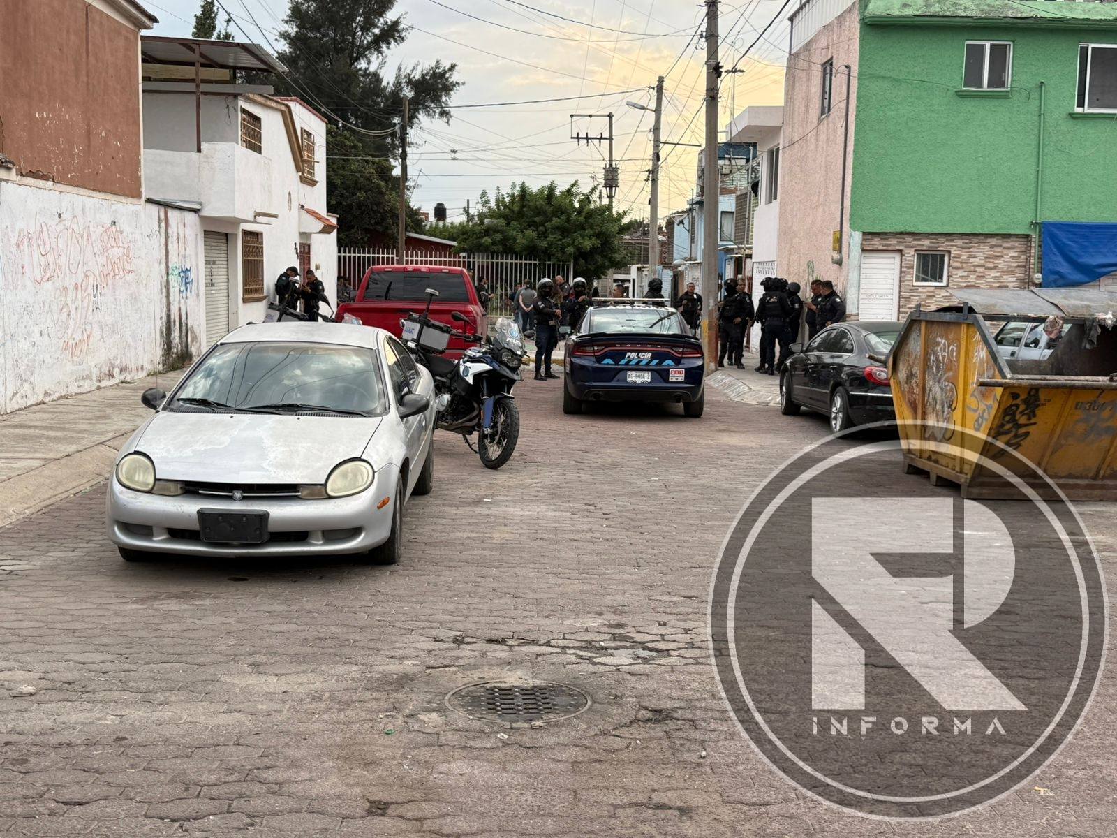 LEVANTÓN EN LAS VIÑAS