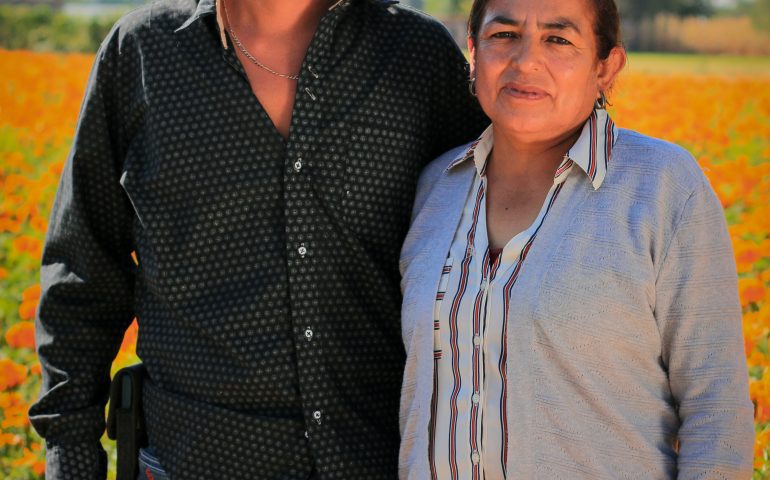 Flor de Cempasúchil: Tradición y Desafíos de los Productores de Jesús María, Aguascalientes