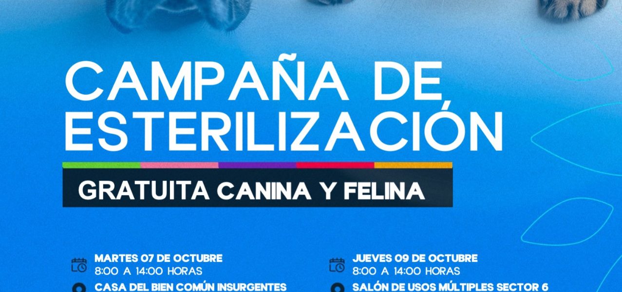LLEVARÁN NUEVA CAMPAÑA DE ESTERILIZACIÓN CANINA Y FELINA GRATUITA AL SUR DE LA CIUDAD