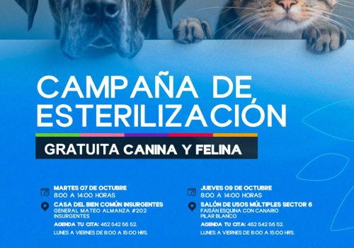 LLEVARÁN NUEVA CAMPAÑA DE ESTERILIZACIÓN CANINA Y FELINA GRATUITA AL SUR DE LA CIUDAD