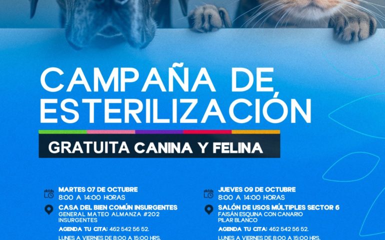 LLEVARÁN NUEVA CAMPAÑA DE ESTERILIZACIÓN CANINA Y FELINA GRATUITA AL SUR DE LA CIUDAD