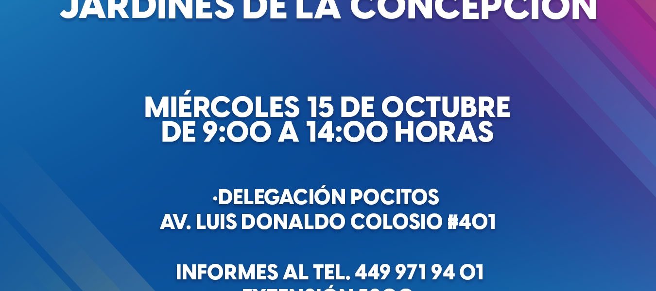 👜👨‍💼Brigada de Empleo en Jardines de la Concepción este miércoles