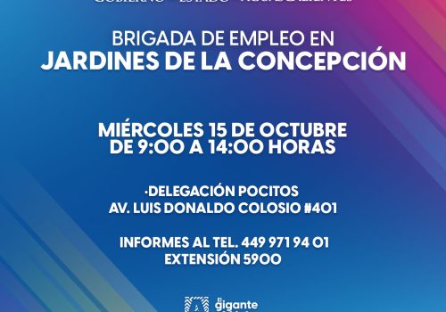 👜👨‍💼Brigada de Empleo en Jardines de la Concepción este miércoles