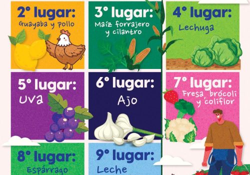 🌾👨‍🌾 El campo de Aguascalientes es gigante