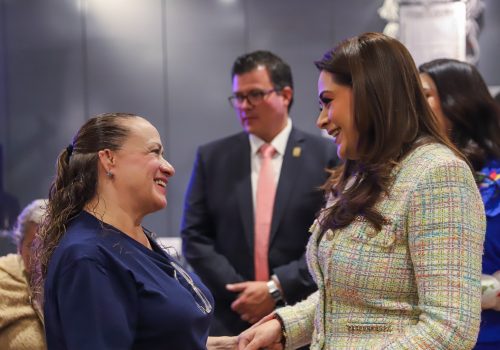 APOYOS QUE CAMBIAN VIDAS; TERE Y AURORA JIMÉNEZ ENTREGAN PRÓTESIS Y AUXILIARES AUDITIVOS A PERSONAS CON DISCAPACIDAD