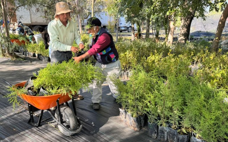 GRUPO MÉXICO SE SUMA A LA VISIÓN “ÁRBOLES FUERTES, HUELLAS GIGANTES” PARA UN ESTADO MÁS VERDE