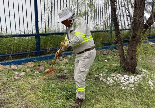 ✅👷 Realizamos periódicamente la limpieza y desmalezado de las diversas áreas de los pozos, tanques vidriados y elevados. 👍🌿