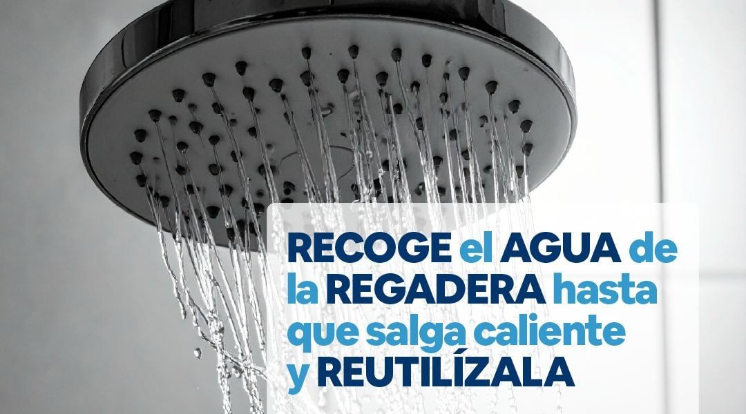 🚿💧 Mientras esperas a que el agua de la regadera se caliente, recógela en una cubeta y reutilízala para limpiar, regar las plantas o trapear 🌿♻️