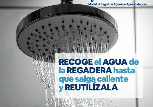 🚿💧 Mientras esperas a que el agua de la regadera se caliente, recógela en una cubeta y reutilízala para limpiar, regar las plantas o trapear 🌿♻️