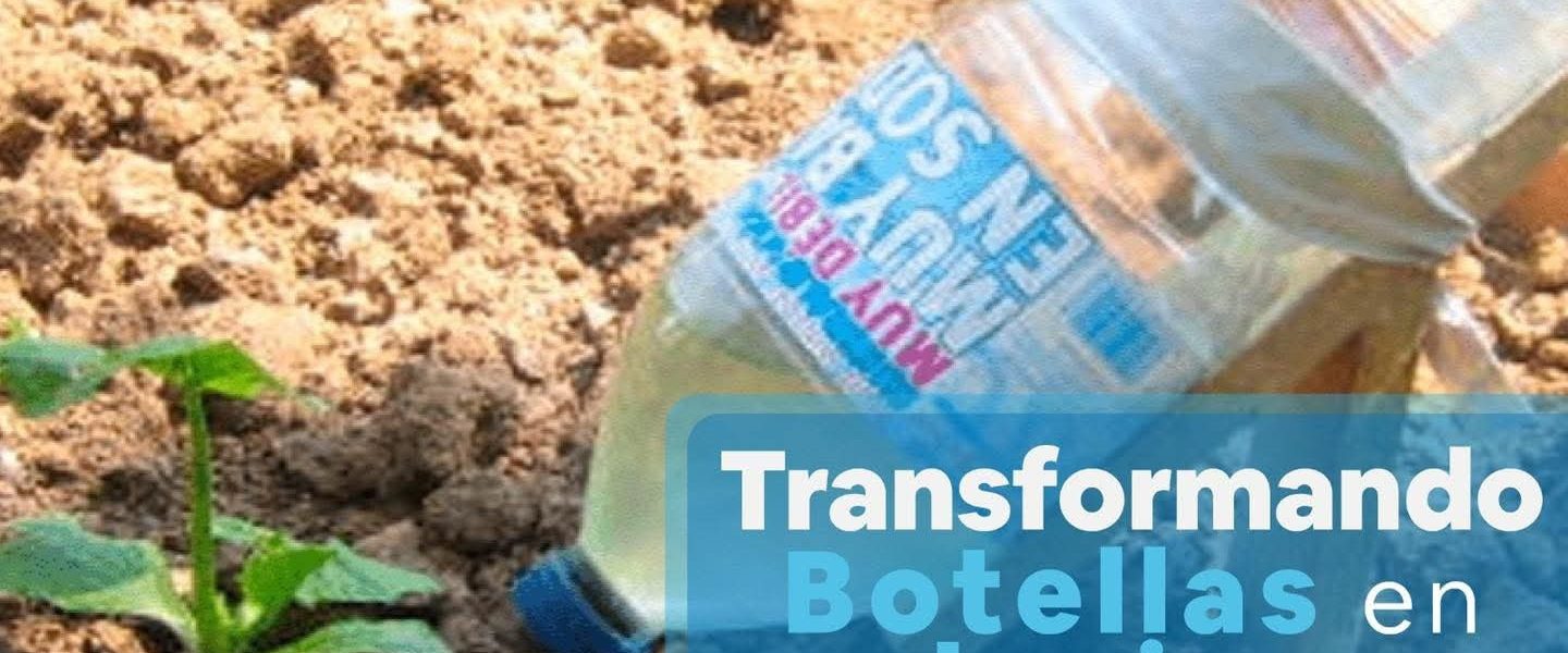 😉 Transformando botellas en soluciones ♻️ sustentables