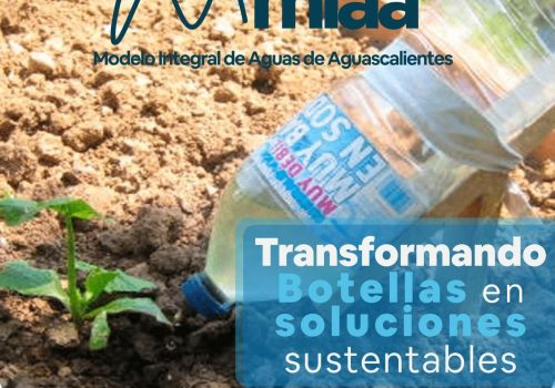 😉 Transformando botellas en soluciones ♻️ sustentables