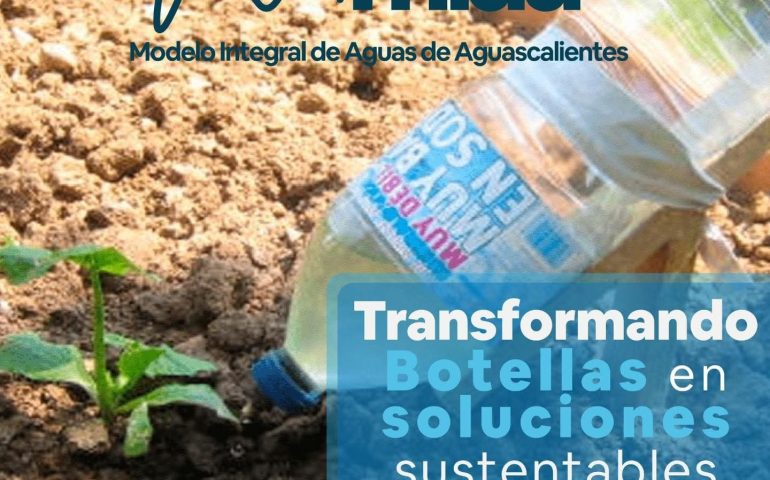😉 Transformando botellas en soluciones ♻️ sustentables