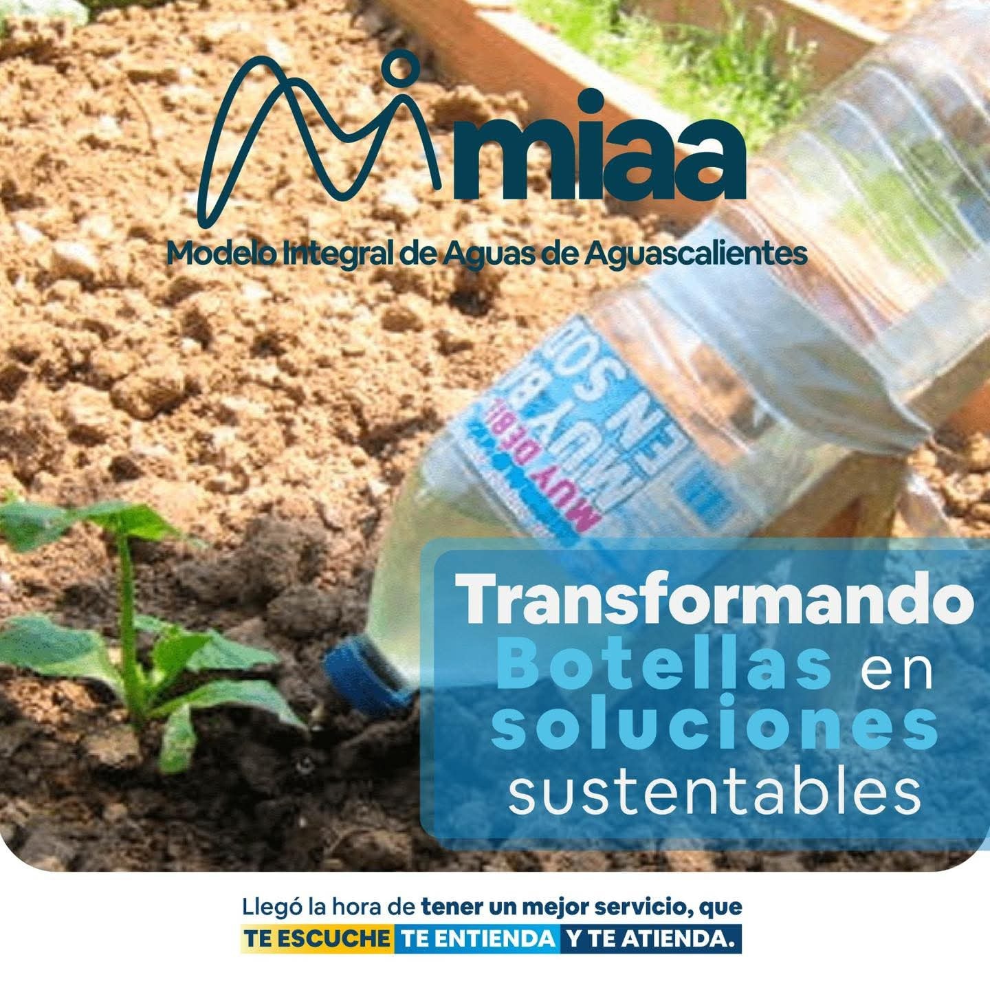 😉 Transformando botellas en soluciones ♻️ sustentables