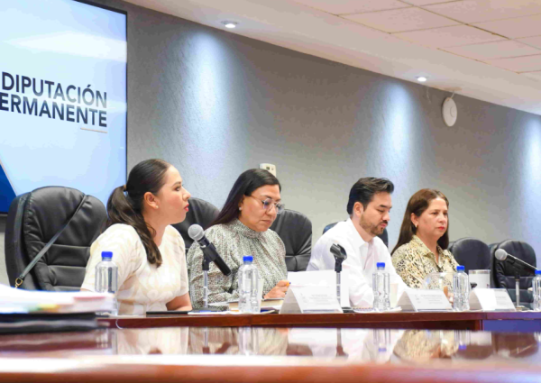 LA DIPUTACIÓN PERMANENTE CONVOCÓ A UN QUINTO PERIODO EXTRAORDINARIO DE SESIONES