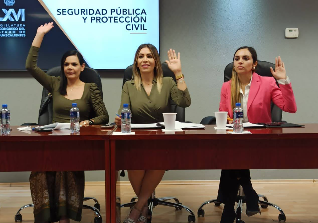 COMISIÓN DE SEGURIDAD PÚBLICA Y PROTECCIÓN CIVIL DEL CONGRESO DE AGUASCALIENTES APRUEBA DOS ORDENAMIENTOS