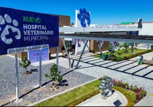 LEO MONTAÑEZ HACE HISTORIA CON EL PRIMER HOSPITAL VETERINARIO MUNICIPAL