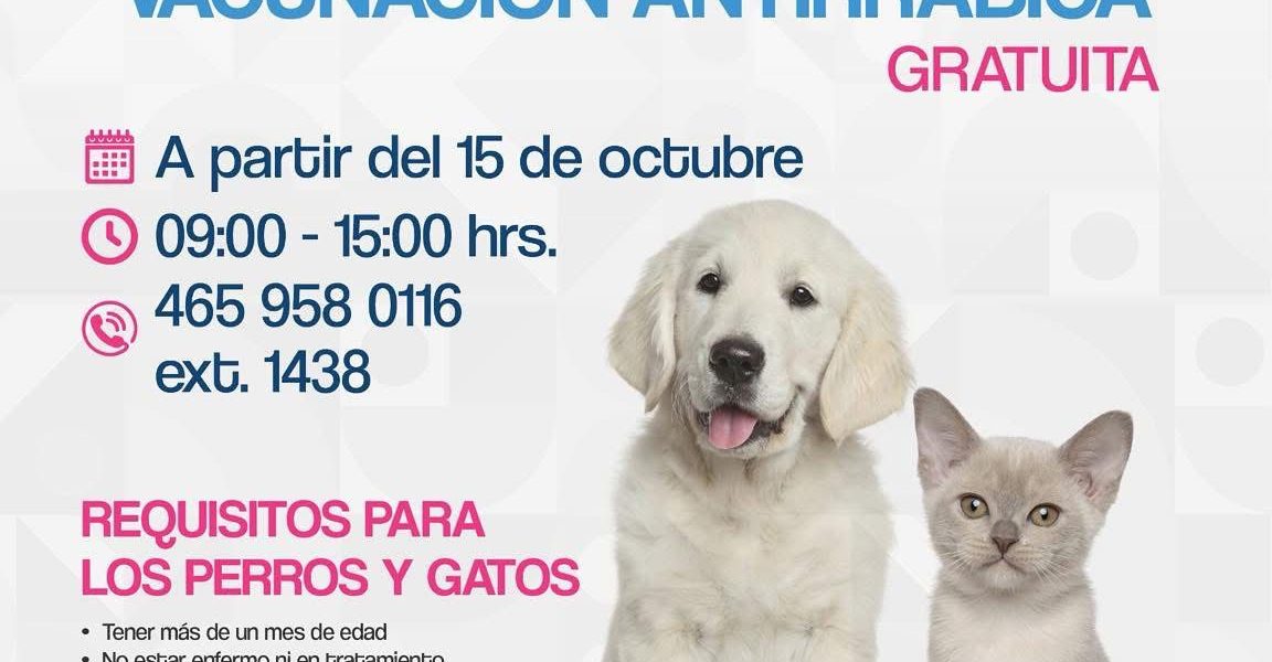 🐶🐱 ¡La Campaña de Vacunación Antirrábica está por comenzar! 💉💙