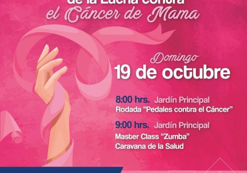 🎀 Día Internacional de la Lucha contra el Cáncer de Mama 💗