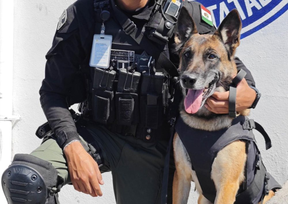 ¿Ya conoces a la policía del Grupo K9?