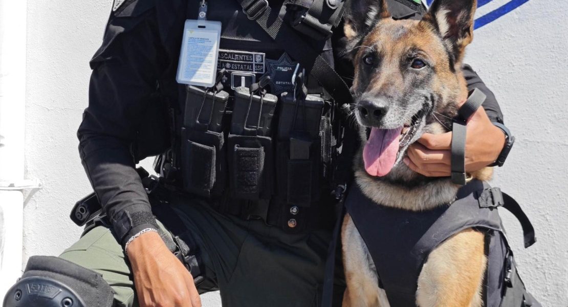 ¿Ya conoces a la policía del Grupo K9?