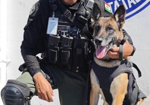 ¿Ya conoces a la policía del Grupo K9?