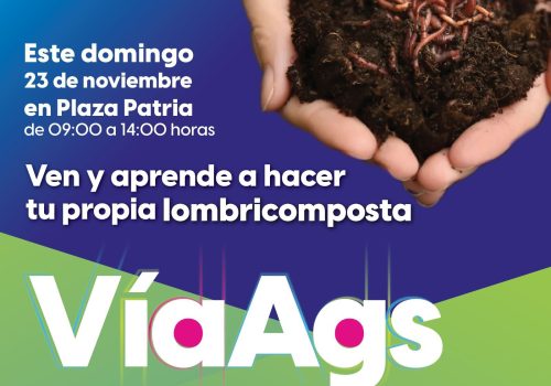 ¡Este domingo 23 de noviembre la VíaAgs se pone más verde que nunca!