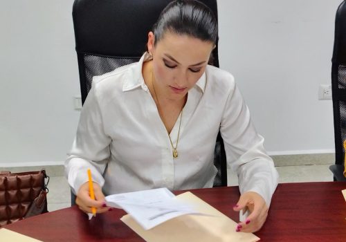 PREOCUPA VIOLANCIÓN A LA LEY DEL PROPIO ALCALDE DE AGUASCALIENTES POR BUSCAR EL FORMATO CÓMODO PARA SU INFORME