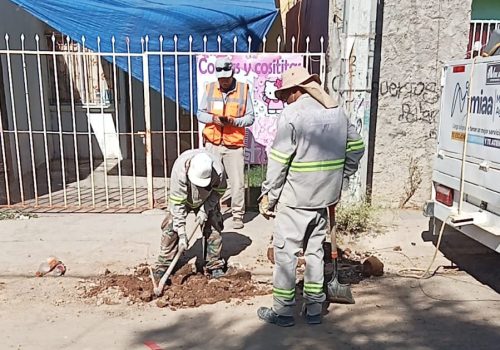✅👷🏼‍♂️ Continúan los trabajos de corte y relleno en diversos sectores de la ciudad.