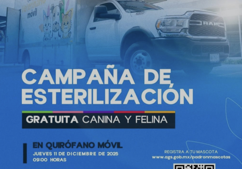 QUIRÓFANO VETERINARIO MÓVIL CIERRA 2025 CON JORNADAS EN VNSA, MIRADOR DE LAS CULTURAS Y EL MALACATE