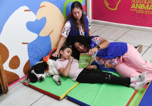 ANIMALES QUE CAMBIAN VIDAS: CONOCE EL CENTRO DE TERAPIA ASISTIDA DEL DIF ESTATAL, PIONERO A NIVEL NACIONAL