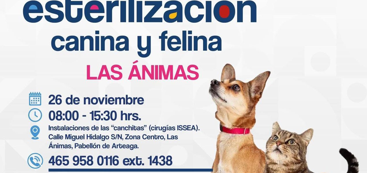 ¡Atención comunidad de Las Ánimas! 🐾💕