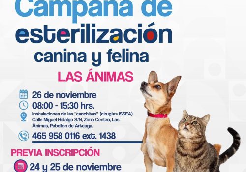 ¡Atención comunidad de Las Ánimas! 🐾💕