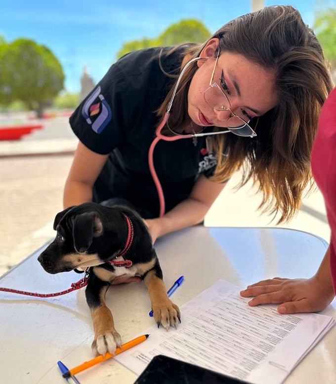ATENCIÓN VETERINARIA GRATUITA LLEGARÁ A TEPEZALÁ, SAN FRANCISCO DE LOS ROMO Y COSÍO LA PRÓXIMA SEMANA