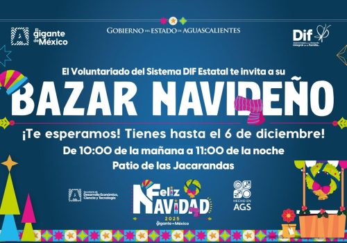 SI AÚN NO TIENES TUS REGALOS PARA ESTA NAVIDAD, VISITA EL BAZAR NAVIDEÑO; TIENE PRODUCTOS CIEN POR CIENTO HIDROCÁLIDOS