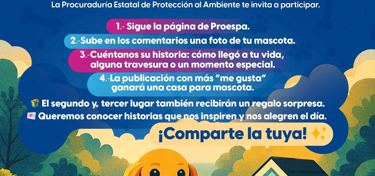 Gana una casa para tu mascota