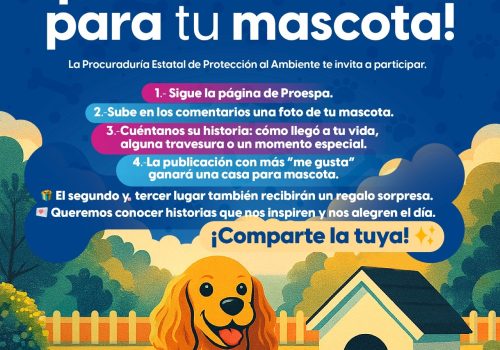 Gana una casa para tu mascota
