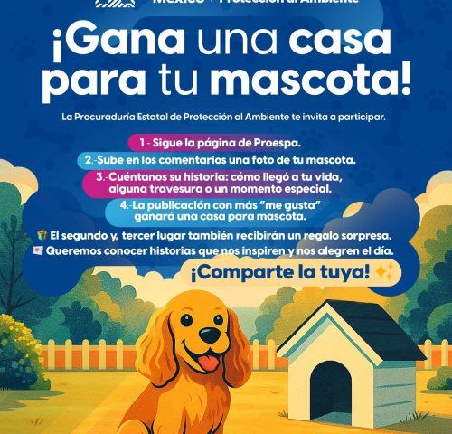 Gana una casa para tu mascota