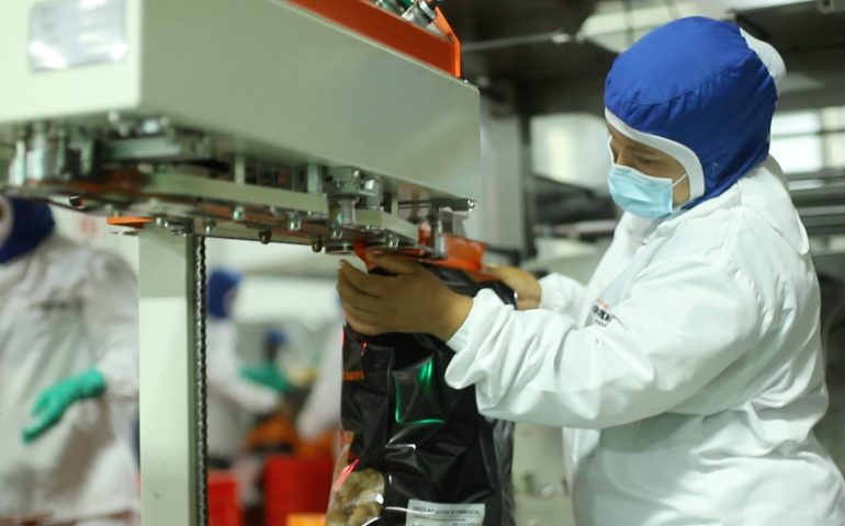 AGUASCALIENTES, ENTRE LOS ESTADOS CON MAYOR CRECIMIENTO DE EMPLEO