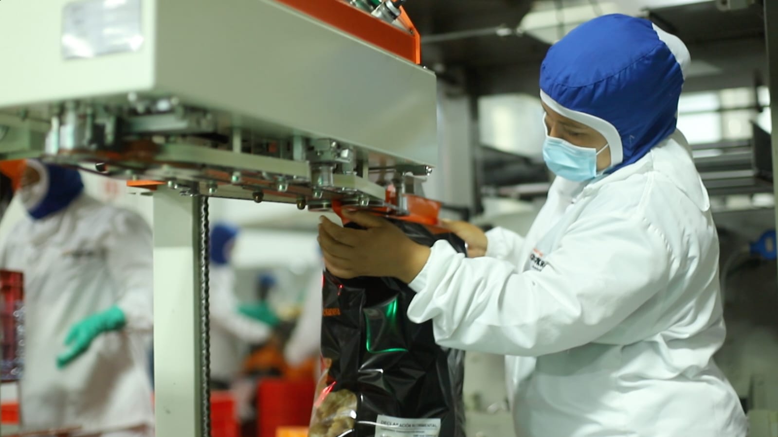 AGUASCALIENTES, ENTRE LOS ESTADOS CON MAYOR CRECIMIENTO DE EMPLEO