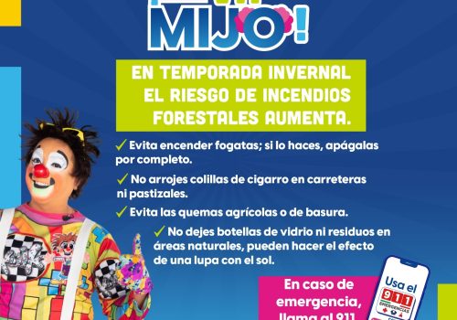 PREVENIR INCENDIOS FORESTALES ES TAREA DE TODAS Y TODOS